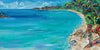 The Virgin Islands